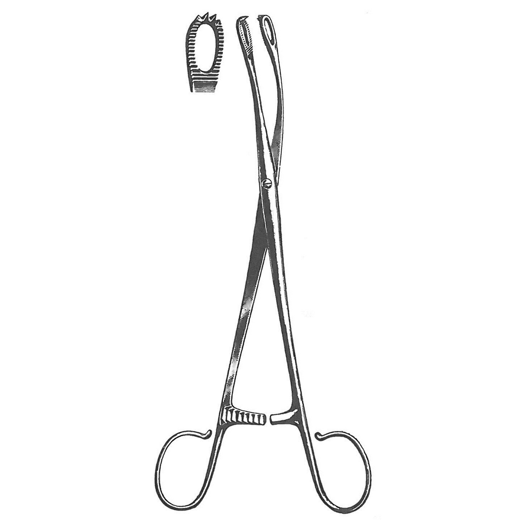 Blohmke Seizing forceps for tonsil, curved, 21 cm long