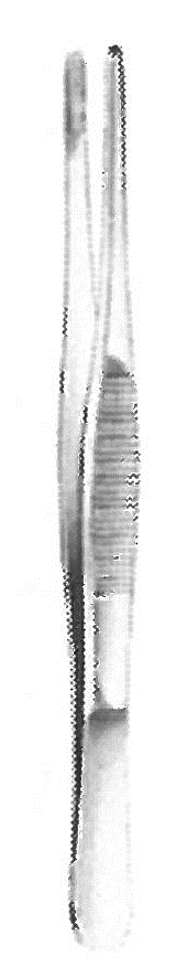 11102-18 : Dressing forceps, standard, straight, 18.0 cm long