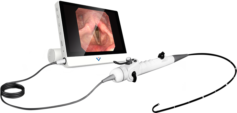VS100CH: 10" LCD display