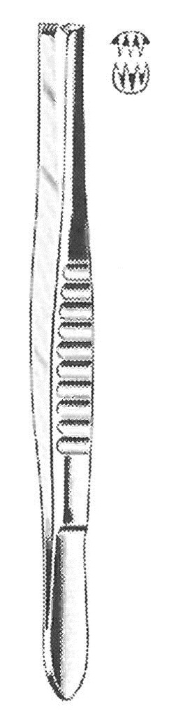 Surgical forceps, 3 x 4 teeth, 13 cm long